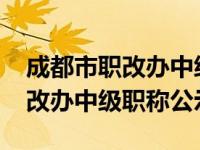 成都市职改办中级职称公示2021（成都市职改办中级职称公示）