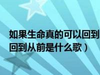 如果生命真的可以回到从前是哪首歌词（如果生命真的可以回到从前是什么歌）