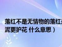 落红不是无情物的落红是什么意思（落红不是无情物 化作春泥更护花 什么意思）