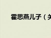 霍思燕儿子（关于霍思燕儿子的介绍）