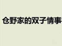 仓野家的双子情事补丁（仓野家的双子情事）