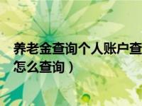 养老金查询个人账户查询怎么查手机（养老金查询个人账户怎么查询）