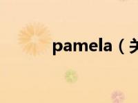 pamela（关于pamela的介绍）