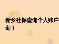 新乡社保查询个人账户查询不到（新乡社保查询个人账户查询）