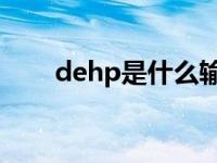 dehp是什么输液器（DEHP是什么）