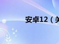 安卓12（关于安卓12的介绍）