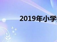 2019年小学数学教研组工作总结