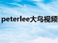 peterlee大鸟视频大全（peterlee打枪视频）