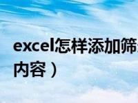 excel怎样添加筛选内容（excel筛选怎么添加内容）