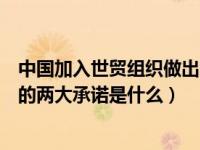 中国加入世贸组织做出了哪些承诺（中国加入加入世贸组织的两大承诺是什么）