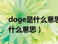 doge是什么意思网络用语（女生发doge是什么意思）