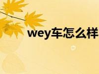 wey车怎么样口碑（wey车怎么样）