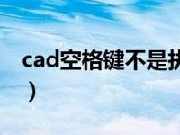 cad空格键不是执行键（cad空格键不能确认）