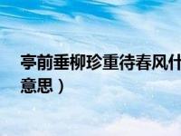 亭前垂柳珍重待春风什么意思?（亭前垂柳珍重待春风什么意思）