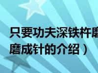 只要功夫深铁杵磨成针（关于只要功夫深铁杵磨成针的介绍）