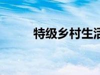 特级乡村生活（特级乡村小农民）