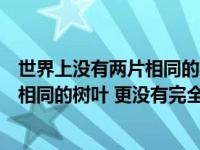 世界上没有两片相同的树叶是谁说的（世界上没有两片完全相同的树叶 更没有完全相同的两个人 出自哪里_）