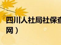 四川人社局社保查询网（四川省社保个人查询网）