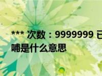 *** 次数：9999999 已用完，请联系开发者***外贸数据反哺是什么意思