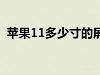 苹果11多少寸的屏幕尺寸（苹果11多少寸）