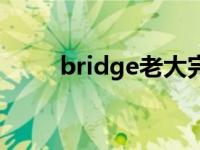 bridge老大完整版（bridge老大）