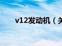 v12发动机（关于v12发动机的介绍）