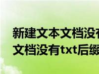 新建文本文档没有txt后缀怎么办（新建文本文档没有txt后缀）