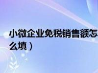 小微企业免税销售额怎么填申报表（小微企业免税销售额怎么填）