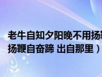 老牛自知夕阳晚不用扬鞭自奋蹄全诗（老牛自知夕阳晚 不待扬鞭自奋蹄 出自那里）