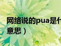 网络说的pua是什么意思（网络词pua是什么意思）