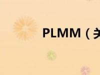 PLMM（关于PLMM的介绍）