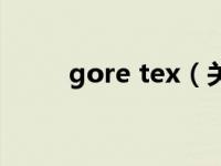 gore tex（关于gore tex的介绍）