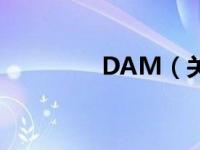 DAM（关于DAM的介绍）