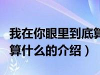 我在你眼里到底算什么（关于我在你眼里到底算什么的介绍）