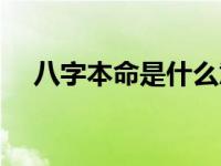 八字本命是什么意思（本命是什么意思）