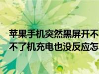 苹果手机突然黑屏开不了机充不了电（苹果手机突然黑屏开不了机充电也没反应怎么办）