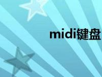 midi键盘（midi输入设备）