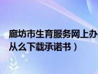 廊坊市生育服务网上办理平台（廊坊计划生育网上办理大厅从么下载承诺书）