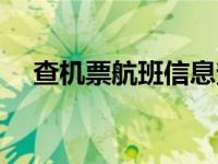 查机票航班信息查询（怎么查航班晚点）