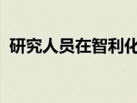 研究人员在智利化石中发现现代鳄鱼的祖父