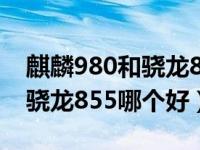 麒麟980和骁龙855哪个好一点（麒麟980和骁龙855哪个好）