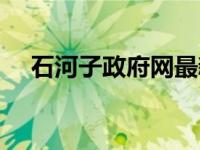 石河子政府网最新消息（石河子政府网）