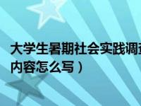 大学生暑期社会实践调查报告3000字（大学生暑期社会实践内容怎么写）