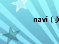 navi（关于navi的介绍）