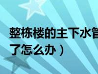 整栋楼的主下水管道堵了怎么办（下水管道堵了怎么办）