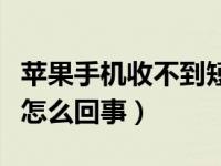 苹果手机收不到短信息（苹果手机收不到短信怎么回事）