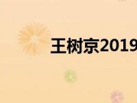 王树京2019建筑实务（王树京）