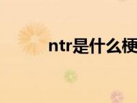 ntr是什么梗（prprpr是什么梗）