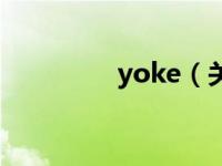 yoke（关于yoke的介绍）