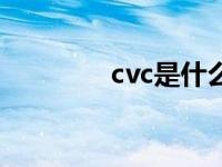 cvc是什么意思（cvc面料）